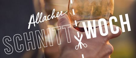 Eine Hand hält ein Weinglas mit rotem Wein, mit dem Wort 'Allacher' darüber und 'Winnit' darunter, durchgestrichen von einer Schere.