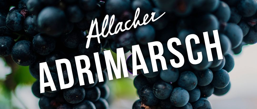 Ein Nahaufnahme von dunkelvioletten Trauben mit dem Wort 'Allacher DRIMARSC' in Weiß darüber geschrieben.
