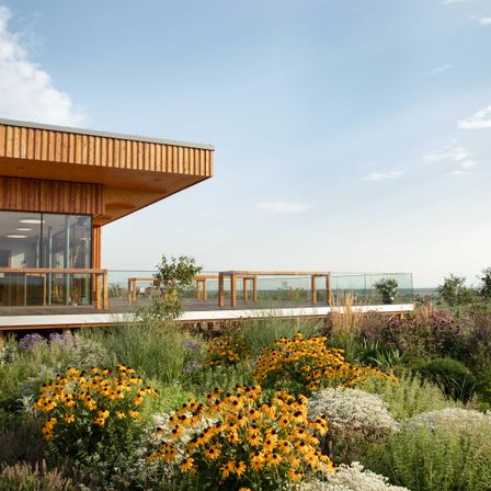 Bild enthält, Interior Design, Nature, Outdoors, Scenery, Garden, Waterfront, Plant, Shelter, Flower, Vegetation