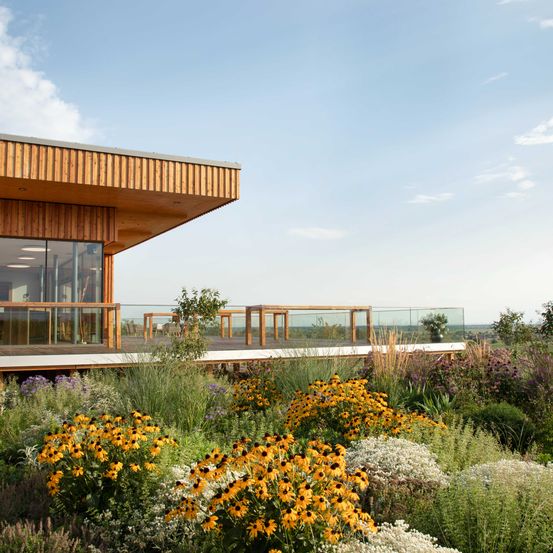 Bild enthält, Interior Design, Nature, Outdoors, Scenery, Garden, Waterfront, Plant, Shelter, Flower, Vegetation