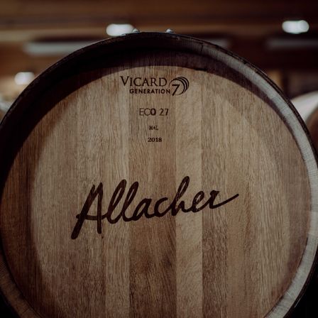 Bild enthält, Plate, Alcohol, Beverage, Liquor, Wine