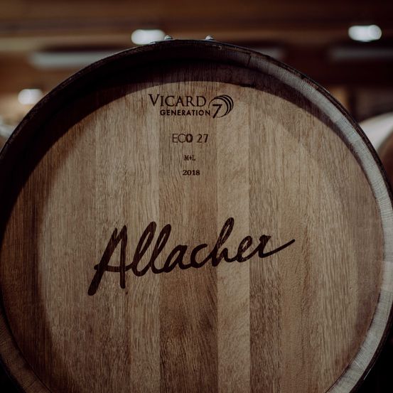 Bild enthält, Plate, Alcohol, Beverage, Liquor, Wine