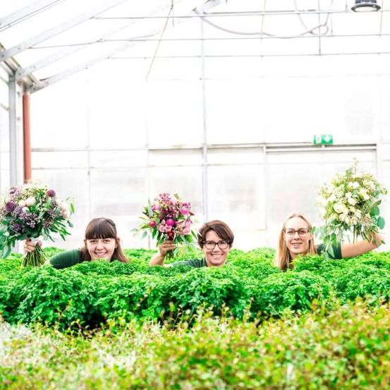 Bild enthält, Garden, Nature, Outdoors, Gardening, Adult, Female, Person, Woman, Face, Taking Cover