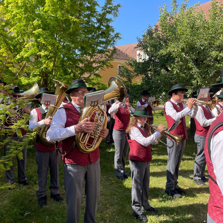A brass band plays on a grassy field with trees and a building in the background. Men and women in red vests and hats play various brass instruments.