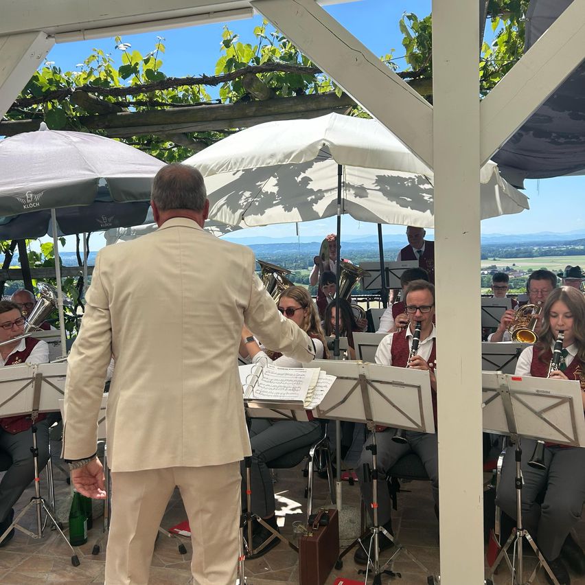 Eine Band spielt in einem Weinberg unter Schirmen, mit Musikern, die verschiedene Instrumente spielen, und einem Dirigenten, der von vorne führt.