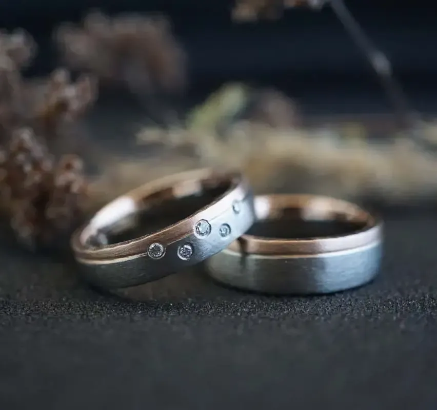 Zwei Silberringe mit kleinen Diamanten liegen auf einer dunklen Oberfläche mit einigen getrockneten Blättern im Hintergrund.