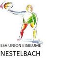 ESV Union Eisblume Nestelbach-Logo