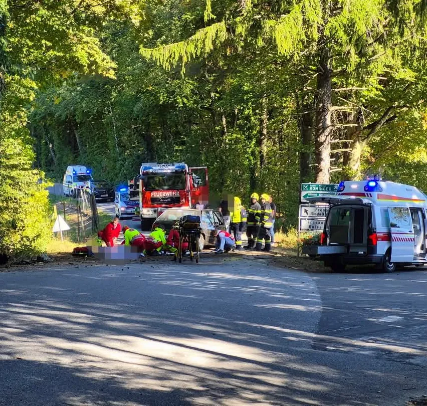 Ein Unfallort mit Rettungsdiensten auf einer Straße, umgeben von Bäumen und geparkten Fahrzeugen.