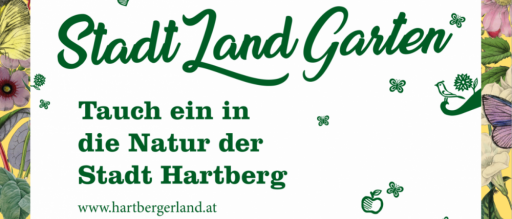 v1_migrated_image_6829876