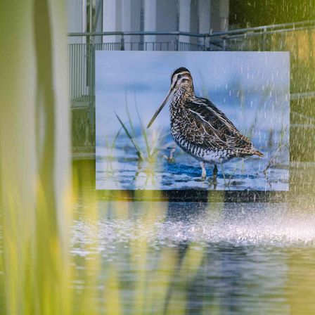 v1_migrated_image_93905220