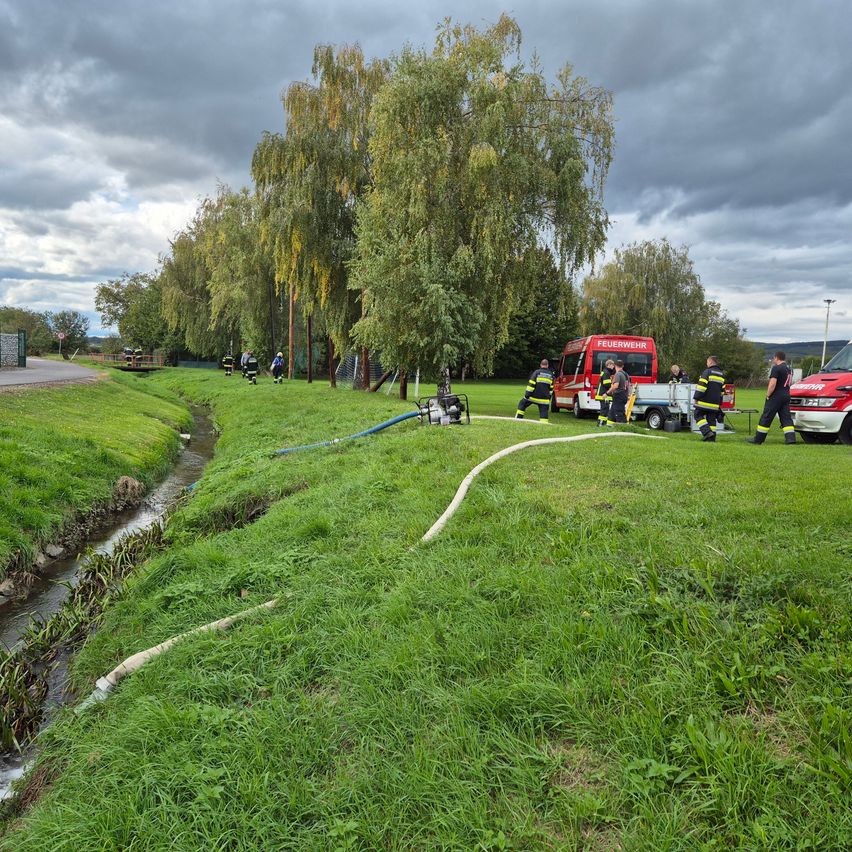 Bild enthält, Grass, Plant, Person, Car, Vehicle, Outdoors, Wheel, Tree, Truck, Fire Truck