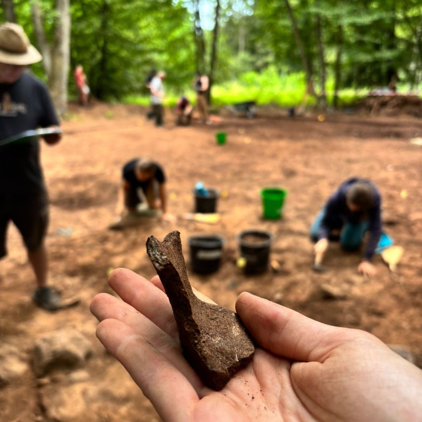 Archäologische Ausgrabung in einem Wald. Eine Person hält ein Fossil. Andere arbeiten im Hintergrund, mit Eimern und Werkzeugen.