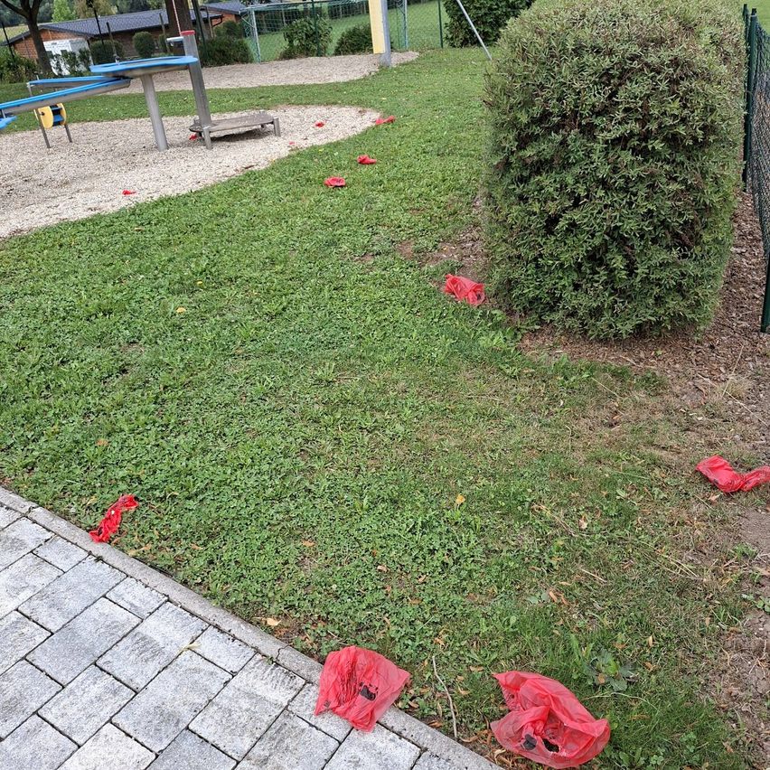 Eine Rasenfläche mit verstreuten roten Plastiktüten und einem Spielplatz im Hintergrund. Der Spielplatz hat eine Rutsche und einen Kletterrahmen.