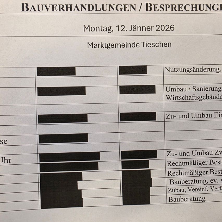 Ein Dokument für Bauverhandlungen und Besprechungen in Tieschen am 12. Januar 2026. Es listet verschiedene Kategorien wie Nutzungsänderungen, Umbau/Sanierung und Architekturdienstleistungen auf.