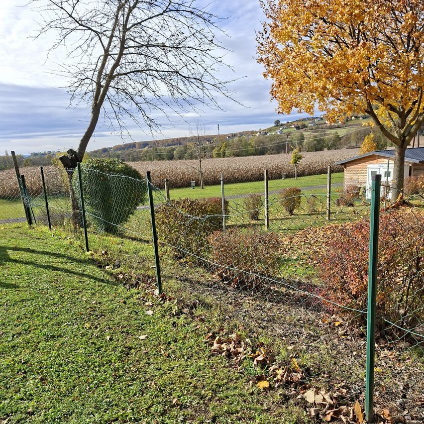 Ein Zaun umgibt einen Rasenbereich mit gefallenen Blättern und Büschen. Hinter dem Zaun befindet sich ein Maisfeld. In der Ferne ist ein Haus zu sehen, und ein Baum mit gelben Blättern steht in der Nähe.