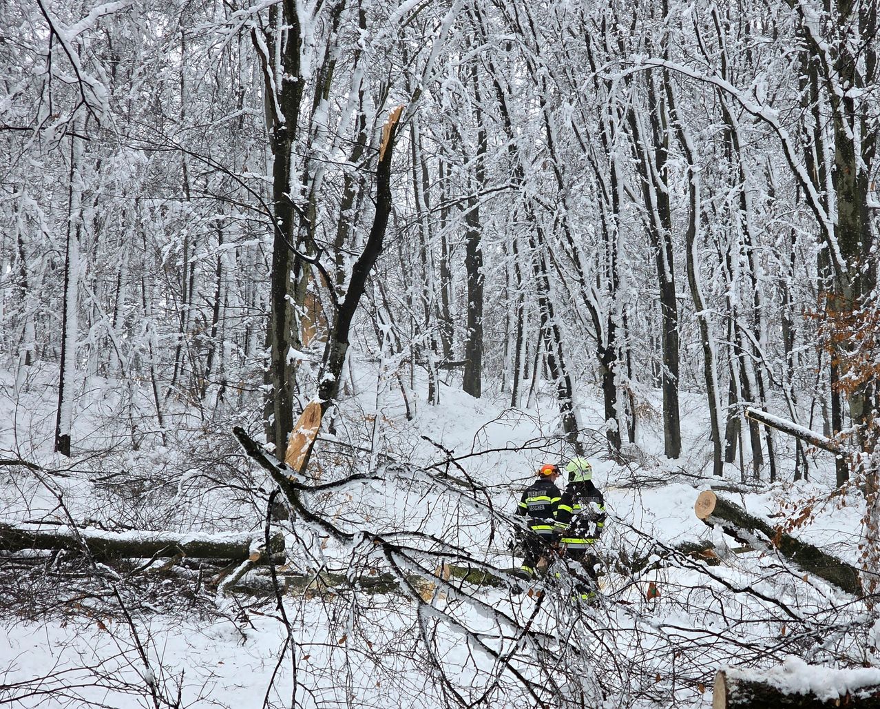 Zwei Feuerwehrleute in Winterkleidung gehen durch einen verschneiten Wald mit umgestürzten Ästen und Bäumen. Sie räumen das Gebiet.