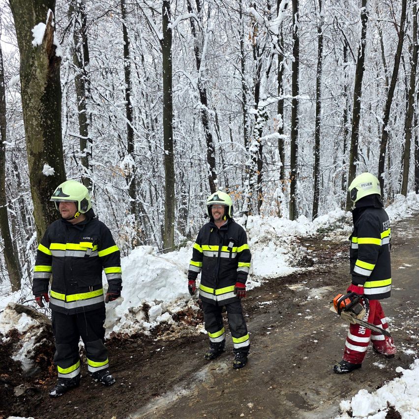 Drei Feuerwehrleute in Schutzkleidung stehen auf einem verschneiten Pfad. Einer hält eine Kettensäge. Schnee bedeckt den Boden und die Bäume.
