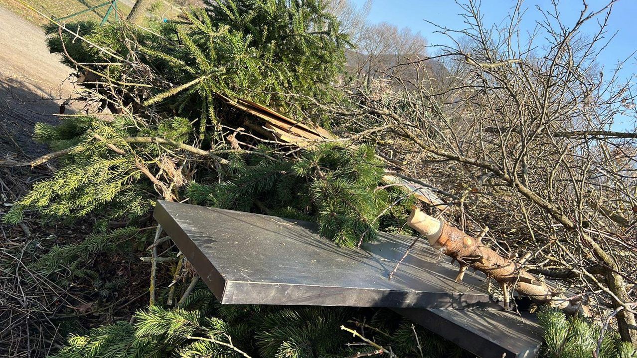 Ein umgestürzter Baum mit Ästen und Zweigen liegt auf dem Boden, bedeckt mit Tannennadeln. Ein Metallblech ist teilweise vergraben.