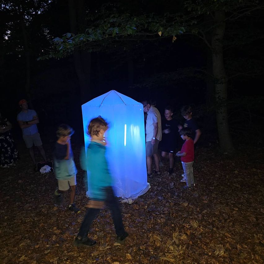 Eine Gruppe von Menschen versammelt sich um ein leuchtendes blaues Zelt in einem Wald bei Nacht. Einige schauen auf das Zelt, während andere herumstehen.