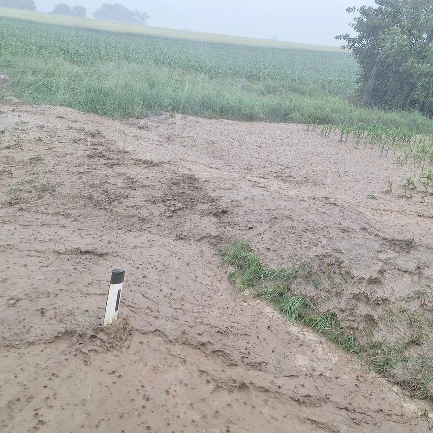 Schlammige Landschaft mit einem Pfosten im Vordergrund, umgeben von grasbewachsenen Feldern und einem nebligen Himmel.