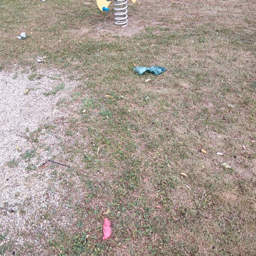 A grassy area with a playground spiral and a small blue plastic bag and a pink item.