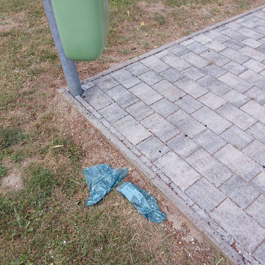 A green trash can is beside a brick sidewalk. A blue plastic bag lies on the grass next to the sidewalk.