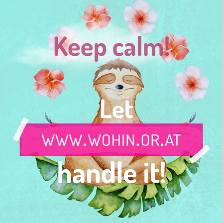 Ein Bild eines Faultiers, das auf einem Bett aus Blättern sitzt. Darüber befindet sich ein rosa Banner mit den Worten 'WWW.WOHIN.OR.AT' und 'Bleib ruhig!' und 'Lass es uns handhaben!'. Der Hintergrund ist hellblau mit rosa Blumen.