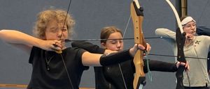 Bild enthält, Weapon, Archer, Archery, Bow, Person, Sport, Arrow, Adult, Male, Man