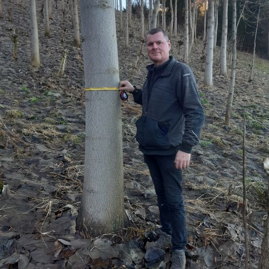 Bild enthält, Tree, Soil, Tree Trunk, Pants, Land, Vegetation, Woodland, Person, Jacket, Grove