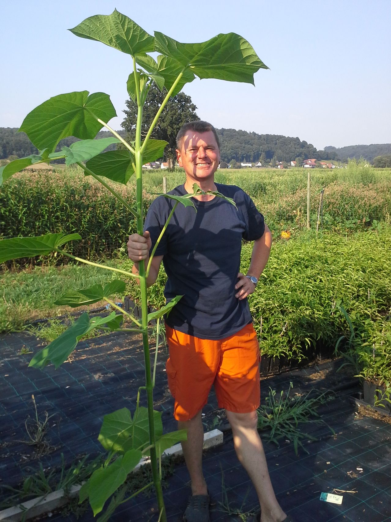 Bild enthält, Shorts, Herbal, Plant, Soil, Person, Portrait, Garden, Outdoors, Grass, Flower
