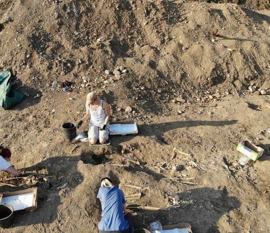 Eine Gruppe von Personen führt eine archäologische Ausgrabung durch. Drei Personen knien in der Erde, eine steht, alle tragen Handschuhe. Sie sind von verschiedenen Werkzeugen und Materialien umgeben, darunter Eimer und Lagerboxen. Die Stätte weist freiliegende Knochen und einen Erdhaufen auf.