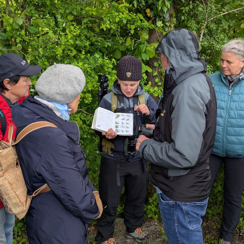 Eine Gruppe von Menschen in Jacken und Mützen schaut sich ein Buch im Wald an. Eine Person hält eine Kamera.