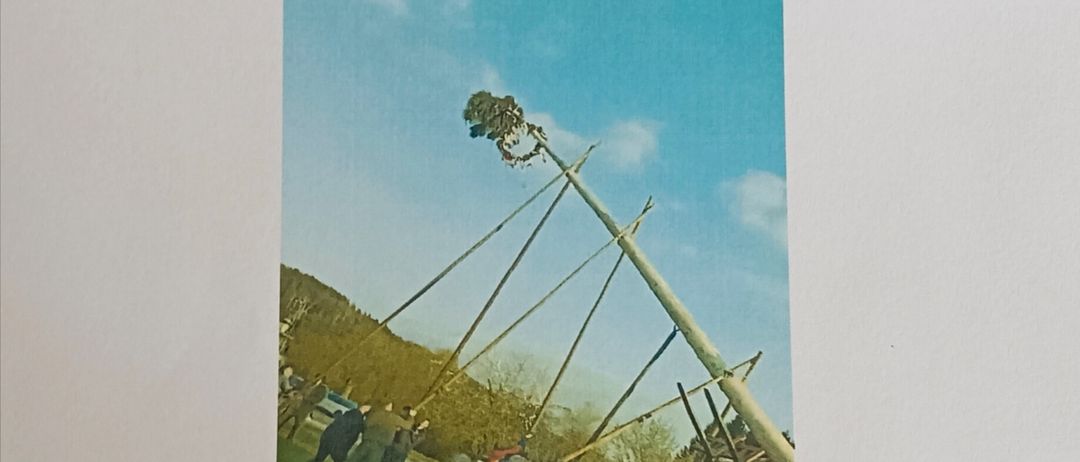 Eine Gruppe von Menschen arbeitet gemeinsam daran, einen hohen Holzpfahl aus dem Boden zu ziehen. Sie stehen auf einem Grasfeld unter einem blauen Himmel mit einigen Wolken.
