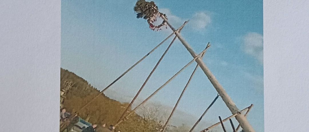 Bild enthält, Grass, Advertisement, Poster, Person, People, Shoe, Outdoors, Lawn, Utility Pole