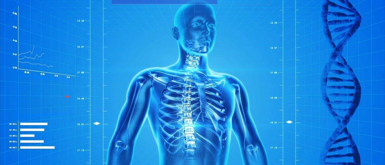 Eine Illustration eines menschlichen Skeletts mit blauem Hintergrund und Rastermuster. Die Figur zeigt die Vorderseite mit sichtbarem Rückgrat und Rippenkorb.