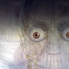 Eine künstlerische Darstellung eines Schädels mit großen, ausdrucksstarken Augen und komplizierten neuronalen Pfaden.
