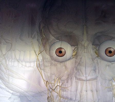 Eine künstlerische Darstellung eines Schädels mit großen, ausdrucksstarken Augen und komplizierten neuronalen Pfaden.