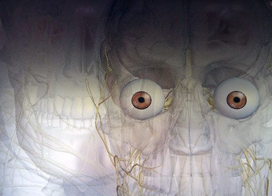 Eine künstlerische Darstellung eines Schädels mit großen, ausdrucksstarken Augen und komplizierten neuronalen Pfaden.