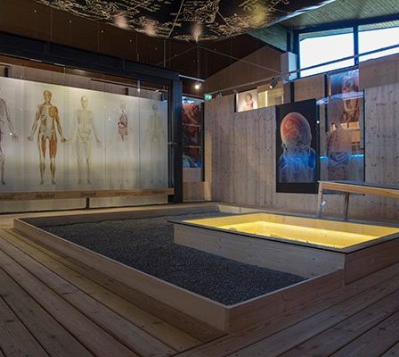 Eine Innenausstellung mit Holzwänden, die Diagramme der menschlichen Anatomie und eine zentrale Holzplattform mit einem beleuchteten Pool zeigt.