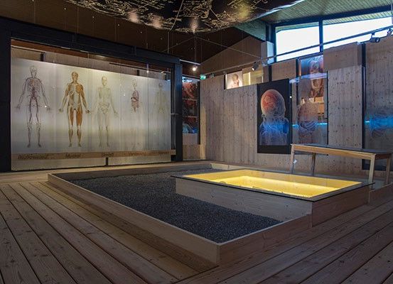 Eine Innenausstellung mit Holzwänden, die Diagramme der menschlichen Anatomie und eine zentrale Holzplattform mit einem beleuchteten Pool zeigt.
