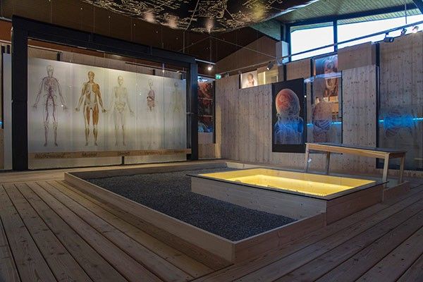 Eine Innenausstellung mit Holzwänden, die Diagramme der menschlichen Anatomie und eine zentrale Holzplattform mit einem beleuchteten Pool zeigt.