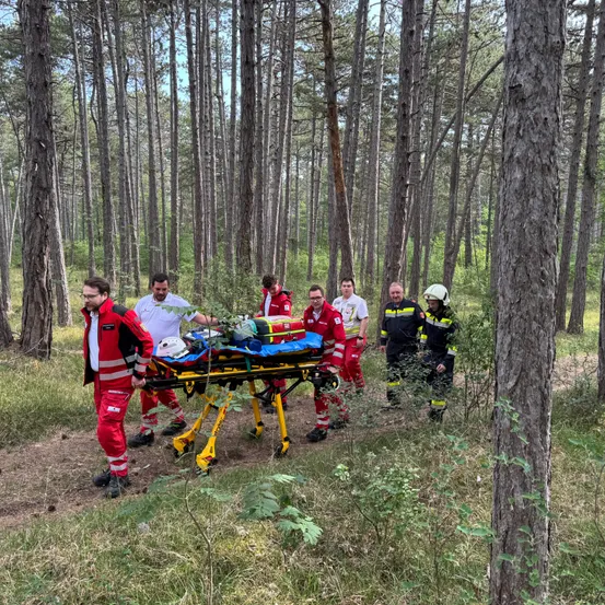 Eine Gruppe von Menschen in roten und weißen Uniformen trägt eine Trage durch einen Wald. Sie navigieren einen schmalen Pfad zwischen hohen Bäumen.