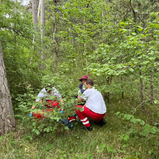 Drei Personen in Schutzkleidung befinden sich in einem Wald, zwei knien, einer sitzt auf dem Boden und einer trägt einen Hut. Sie scheinen jemanden zu versorgen, der auf dem Boden liegt.