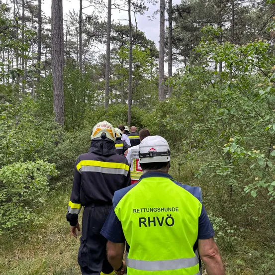 Einsatzkräfte in Schutzkleidung durchqueren einen Wald mit einem Rettungshund. Sie suchen wahrscheinlich nach einer vermissten Person.