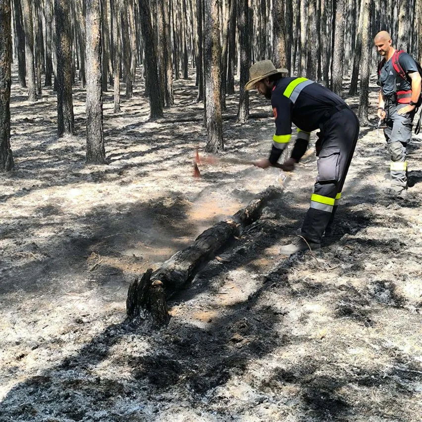 Zwei Männer in Schutzkleidung befinden sich in einer Waldlichtung, einer schneidet einen verkohlten Baumstamm mit einer Axt, während der andere zusieht.