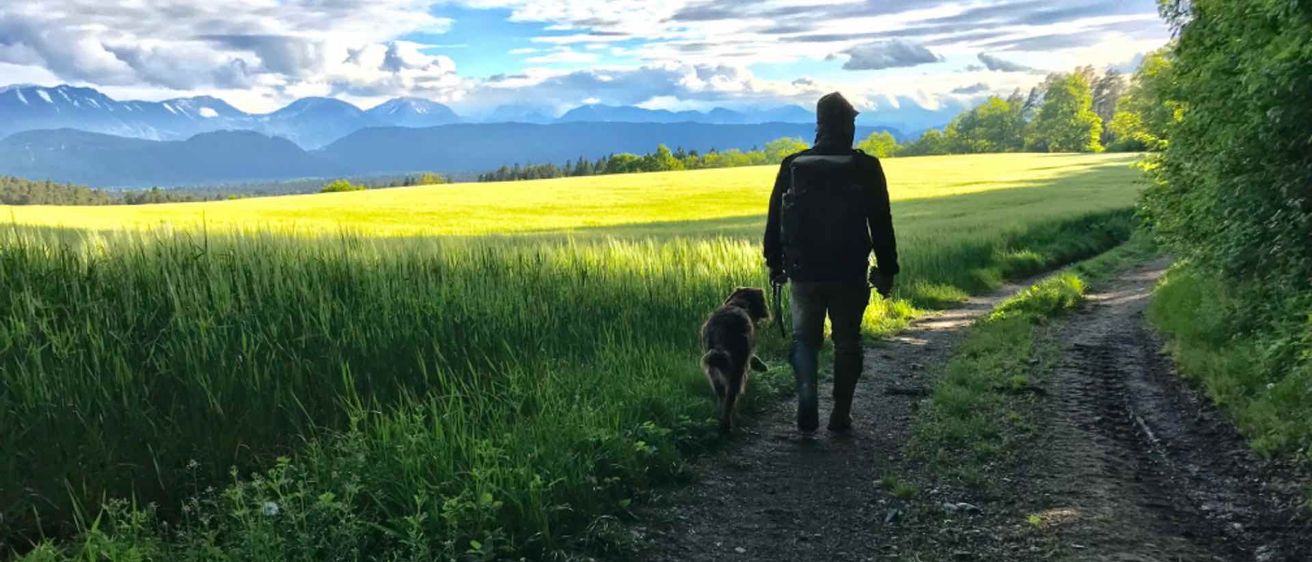 v1_migrated_image_99318702