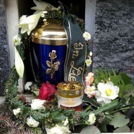 Bild enthält, Jar, Pottery, Urn, Flower, Plant, Rose, Tin