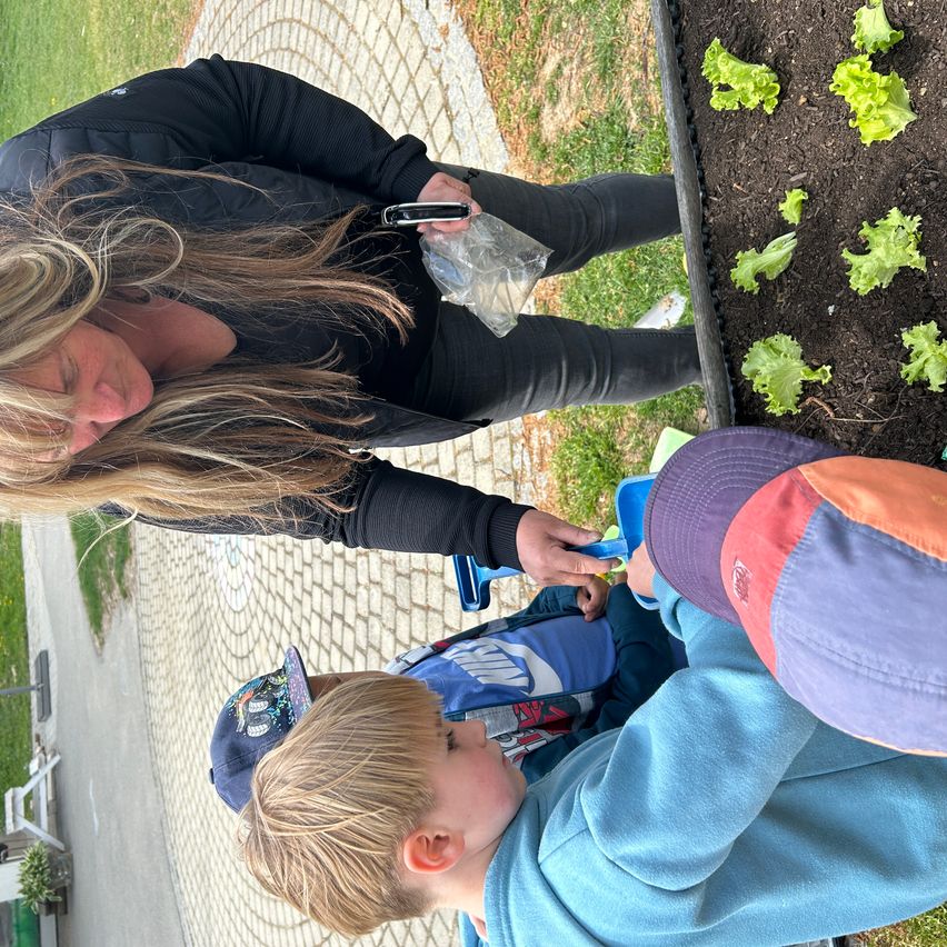 Eine Frau beugt sich über ein Gartenbett mit Salat und leitet zwei Kinder beim Pflanzen an. Die Kinder, eines mit einem blauen Hut, sind in die Aktivität vertieft.