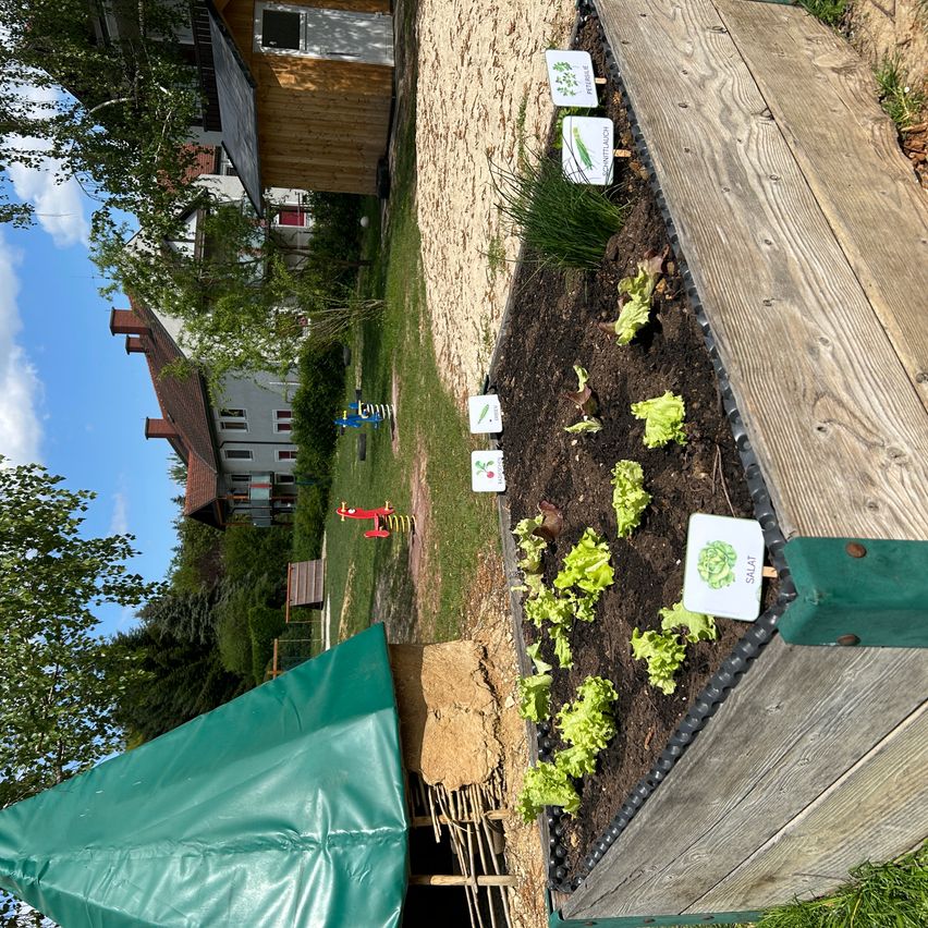 Ein hölzerner Gartenbeet mit verschiedenen Pflanzen auf einer Wiese mit Häusern und Bäumen. Das Beet ist mit Erde gefüllt und hat mehrere Pflanzenetiketten.