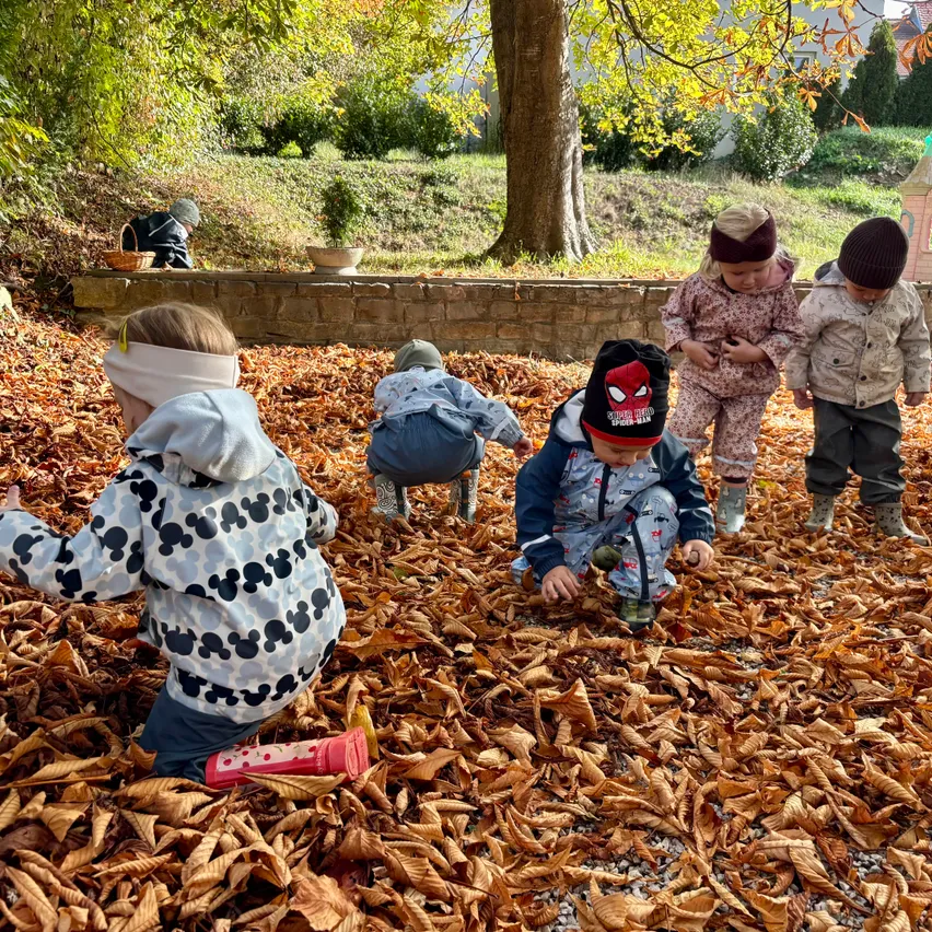 Five children are playing in a pile of autumn leaves in a garden. One child is wearing a Mickey Mouse jacket.